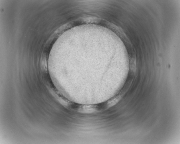 X0000085240622200704092025