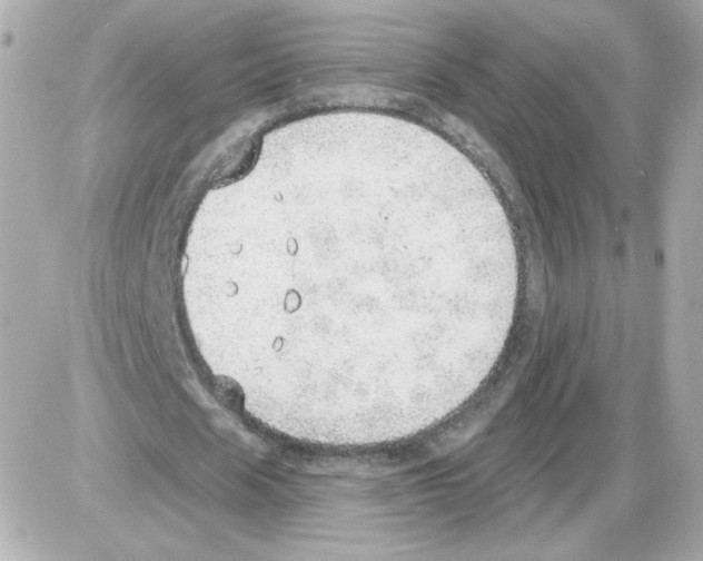 X0000085240625200704092024