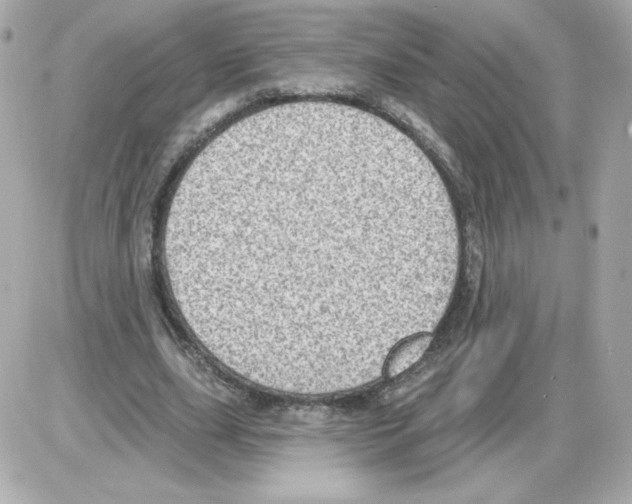 X0000085240631200704092024
