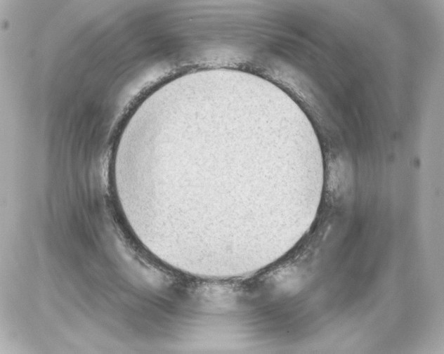 X0000085240632200704092024
