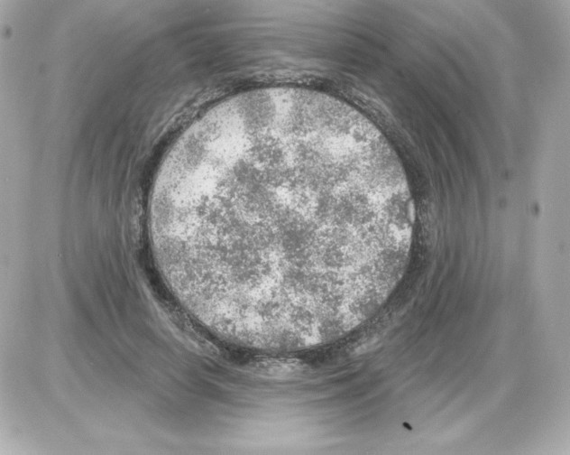 X0000085240642200704092024