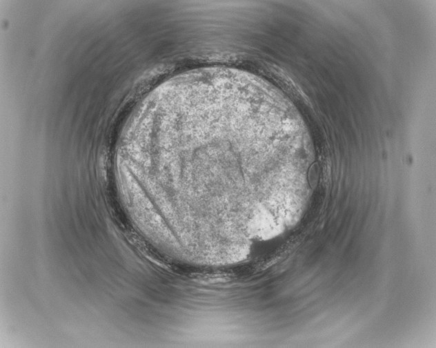 X0000085240643200704092024
