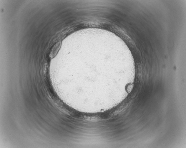 X0000085240645200704092024