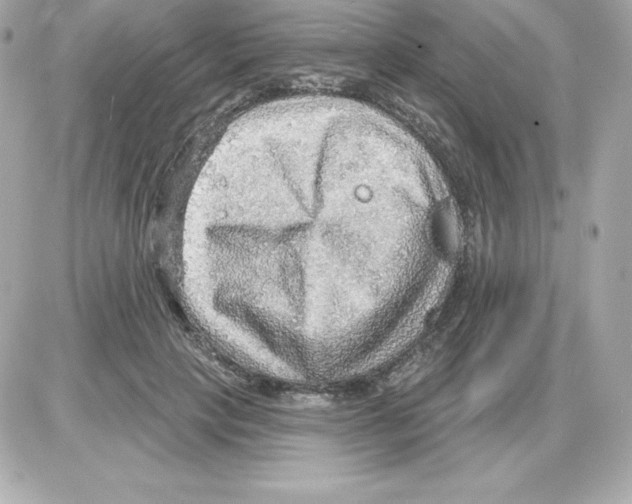 X0000085240649200704092024