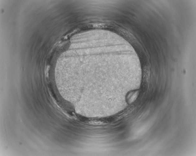 X0000085240650200704092024