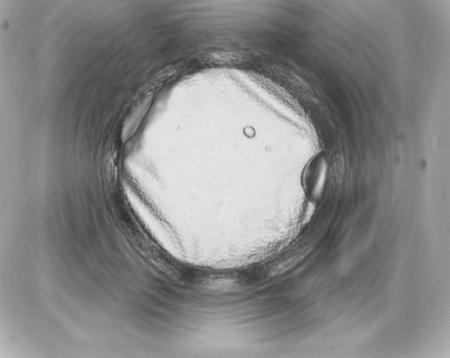 X0000085240651200704092024