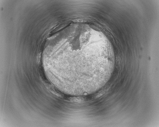 X0000085240652200704092024