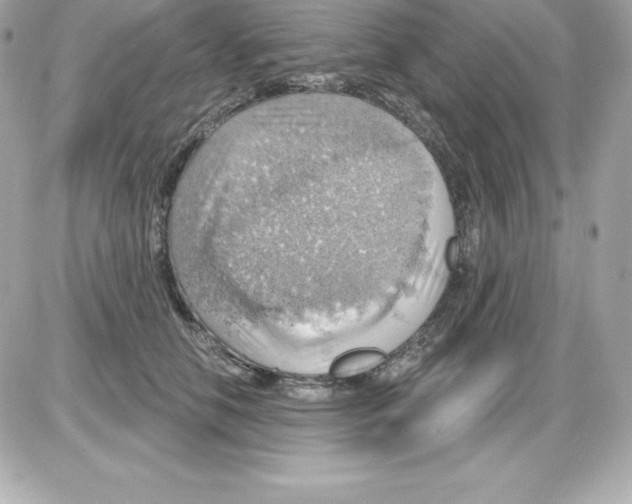 X0000085240658200704092024