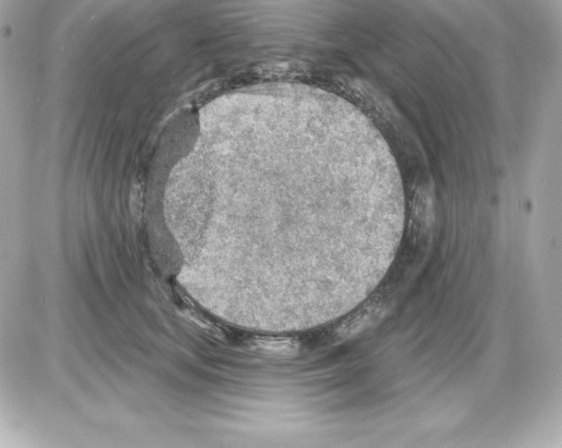 X0000085240659200704092024