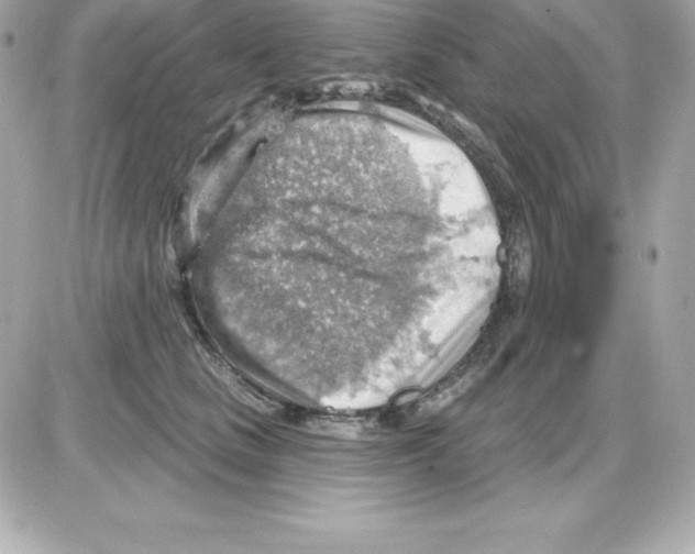 X0000085240661200704092024