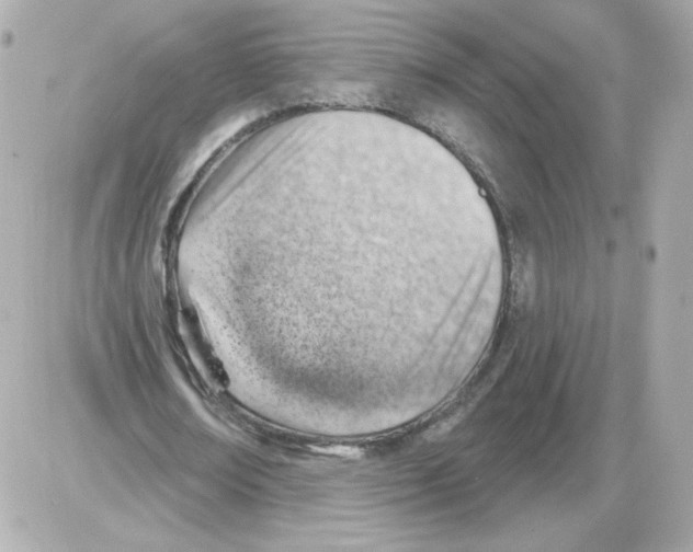 X0000085240674200704092024