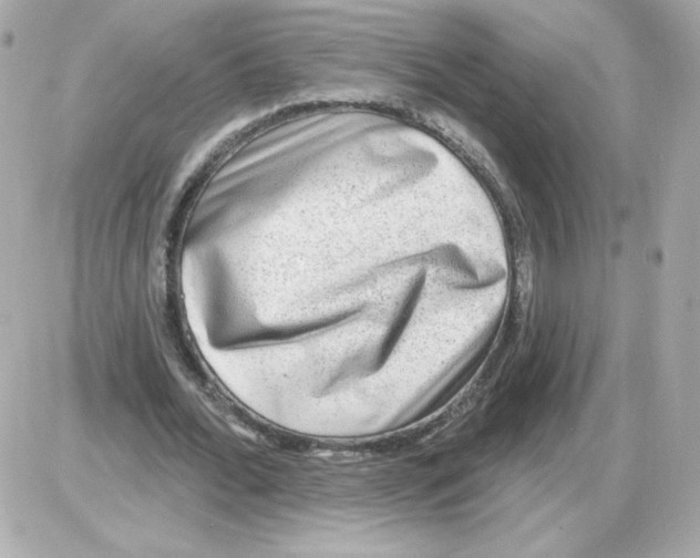 X0000085240676200704092024