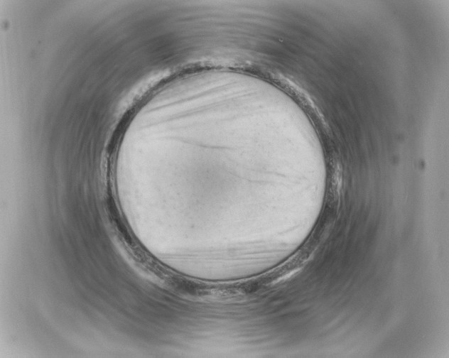 X0000085240678200704092024