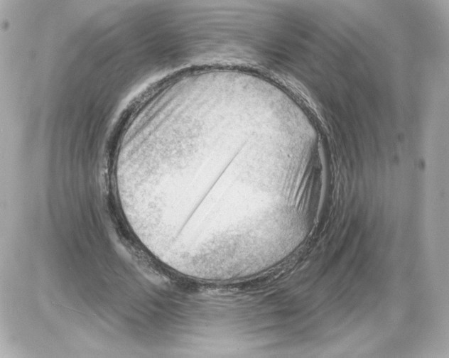 X0000085240680200704092024