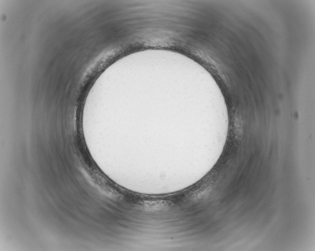 X0000085240686200704092024