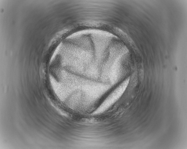 X0000085240688200704092024