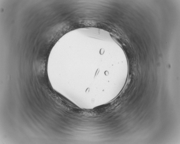 X0000085240697200704092023