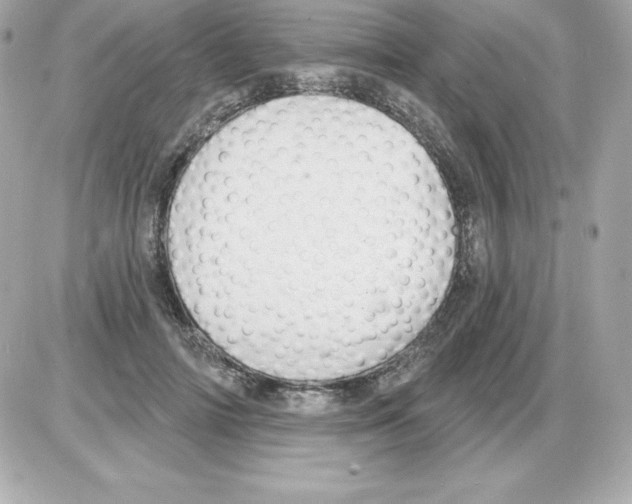 X0000085240698200704092023