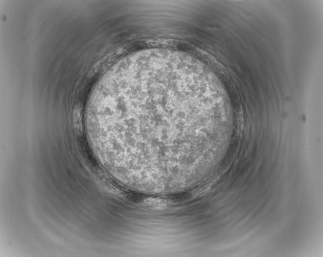X0000085240699200704092023