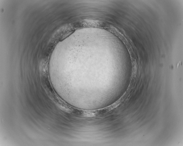 X0000085240701200704092023