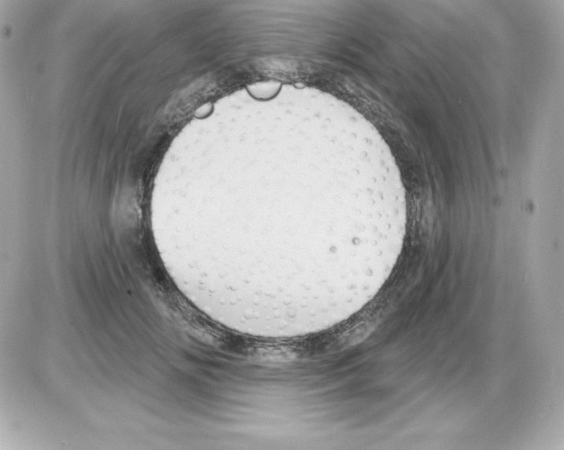X0000085240702200704092023