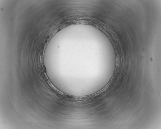 X0000085240704200704092023