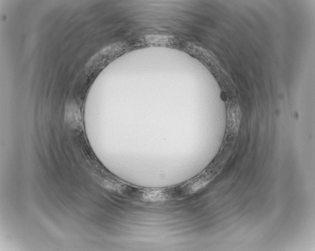 X0000085240705200704092023