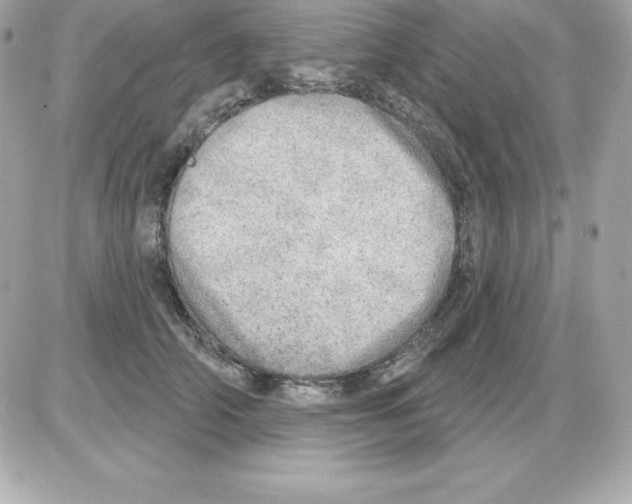 X0000085240706200704092023