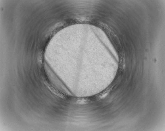 X0000085240710200704092023