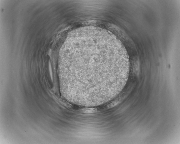 X0000085240711200704092023