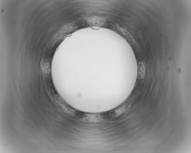 X0000085240713200704092023