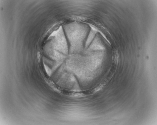 X0000085240716200704092023