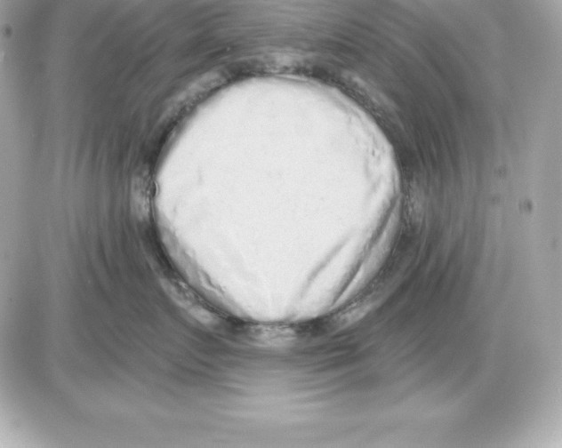 X0000085240719200704092023