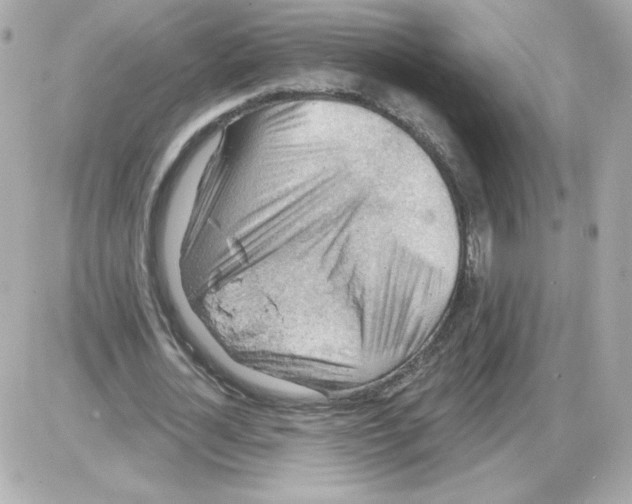 X0000085240724200704092022