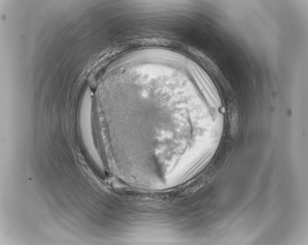 X0000085240729200704092022