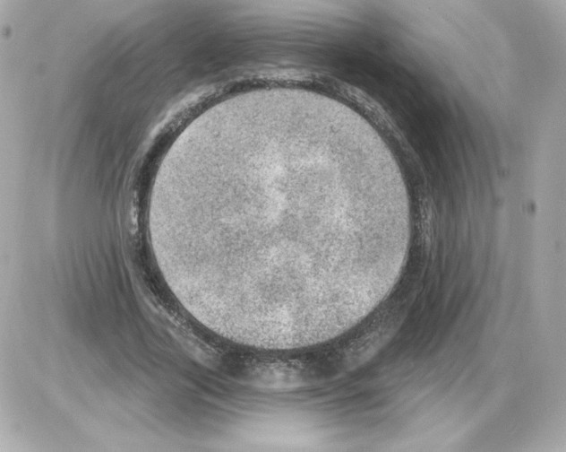 X0000085240731200704092022