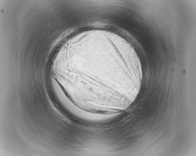 X0000085240734200704092022
