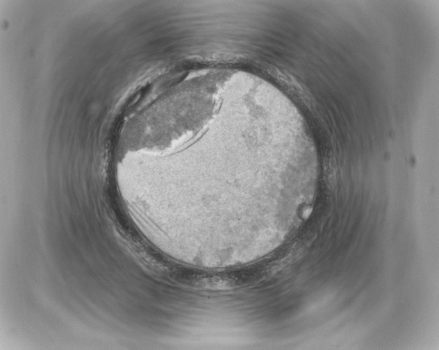 X0000085240735200704092022