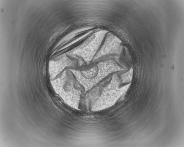 X0000085240740200704092023