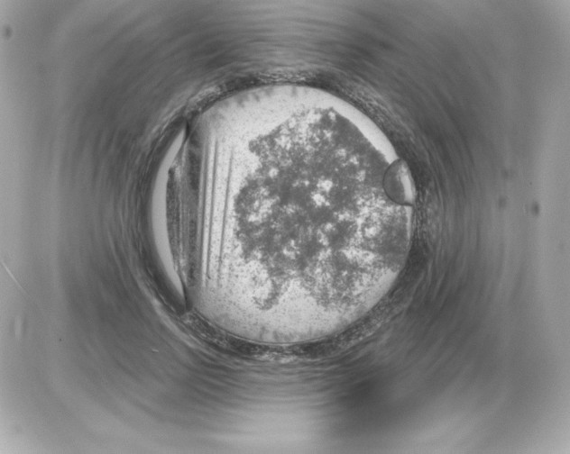 X0000085240742200704092023