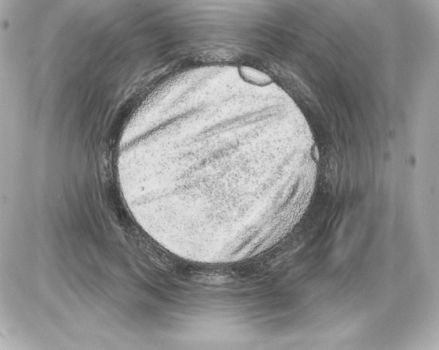 X0000085240743200704092023