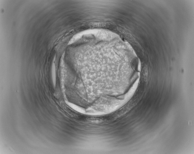 X0000085240746200704092023