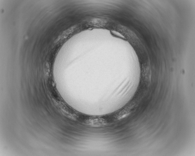 X0000085240752200704092023