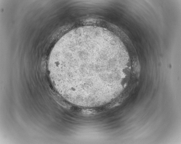 X0000085240753200704092023