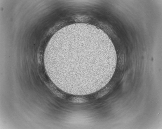 X0000085240755200704092023