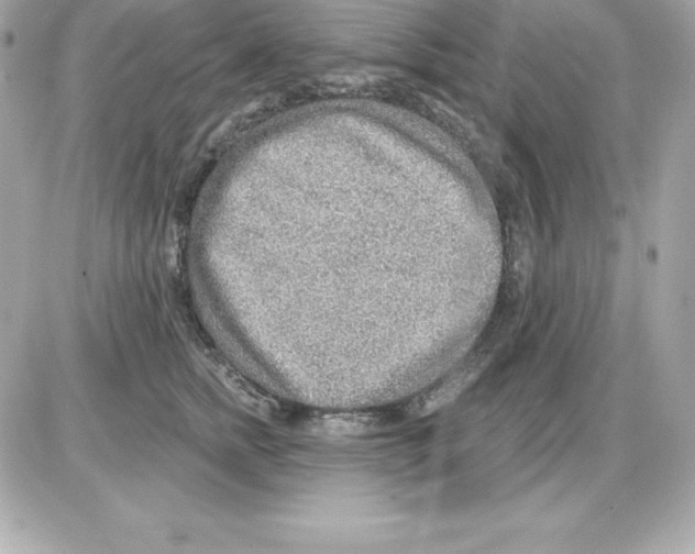 X0000085240758200704092023