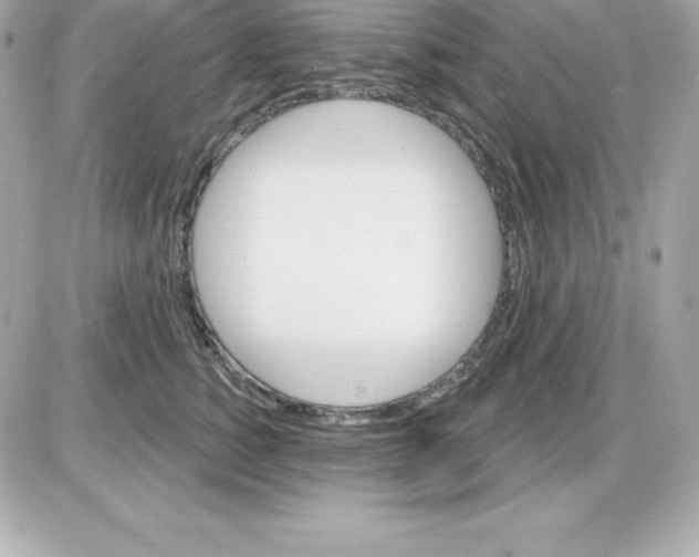 X0000085240760200704092023