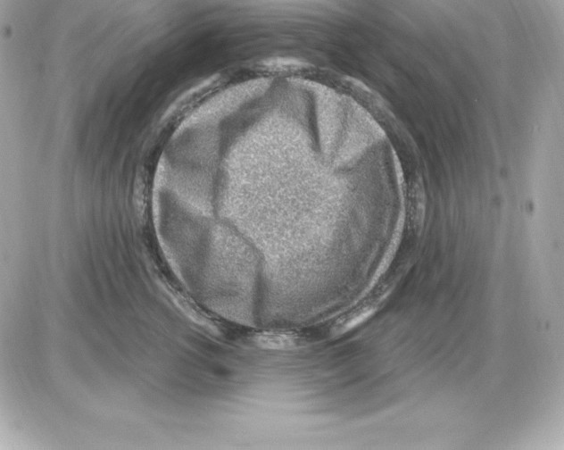 X0000085240762200704092023