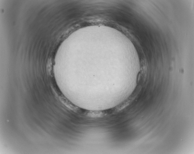 X0000085240767200704092023