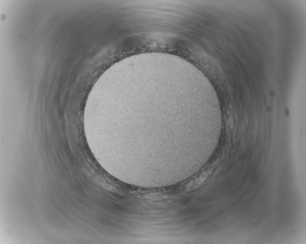 X0000085240769200704092022